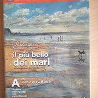 Il più bello dei mari A+corso di scrittura Pearson