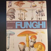 L'atlante dei Funghi.