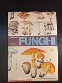 L'atlante dei Funghi.