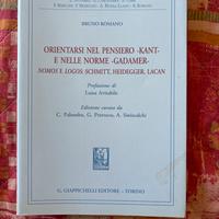 Libro orientarsi nel pensiero e nelle norme Romano