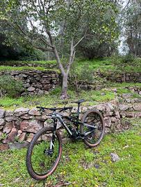 CANNONDALE SCALPEL CARBON 3