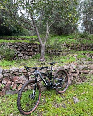 CANNONDALE SCALPEL CARBON 3