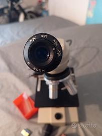 microscopio 