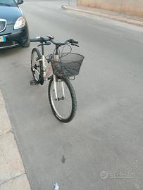 bicicletta femminile 