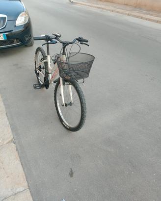 bicicletta femminile 