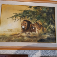 Quadri balinesi e Amazzonia