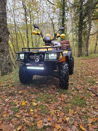 Polaris sportsman 500 carburatore