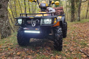 Polaris sportsman 500 carburatore