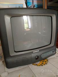 televisione portatile 