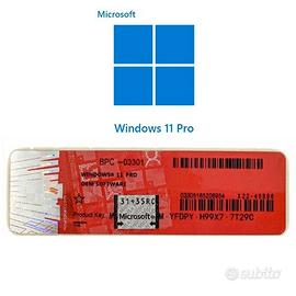 5 Microsoft Windows 11 Professional originali OEM