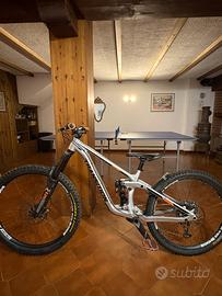 Transition patrol 2022