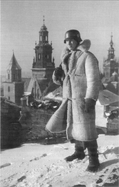 Cappotto pelliccia soldato ufficiale tedesco ww2