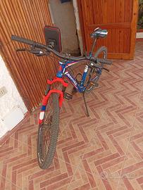 bicicletta