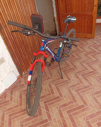 bicicletta