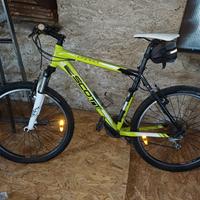 MTB Scot