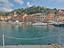Immagine 7