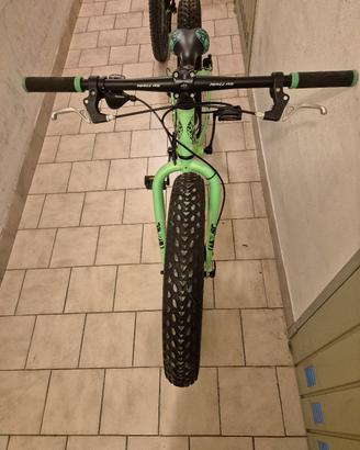 mtb fat bike 24