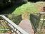 Immagine 23