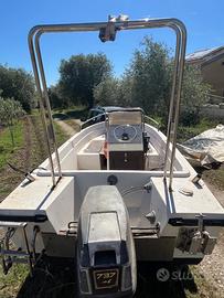 Barca 4,50 motore carrello