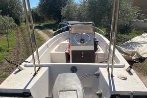 Barca 4,50 motore carrello