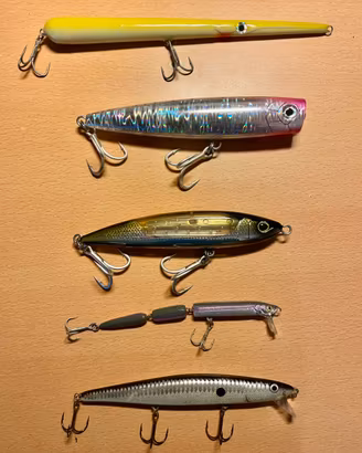 Esche da pesca in mare