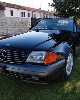Mercedes-benz SL 300 SL-24 cat