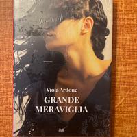 Libro: grande meraviglia di Viola Ardone (romanzo)