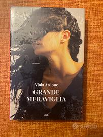 Libro: grande meraviglia di Viola Ardone (romanzo)