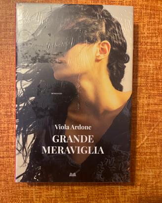 Libro: grande meraviglia di Viola Ardone (romanzo)