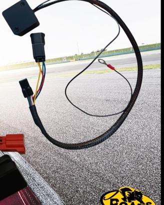 lambda optimizer Roadsitalia 