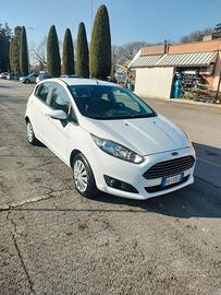 Ford Fiesta van