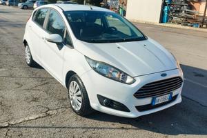 Ford Fiesta van
