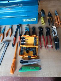 casetta con attrezzi professionale 