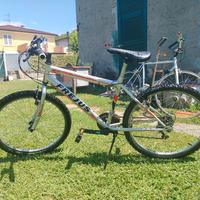 bicicletta