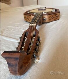 Mandolino Banjo (banjolino)