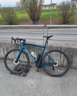 Specialaized Tarmac SL8 Expert di2 12v