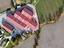 Immagine 28