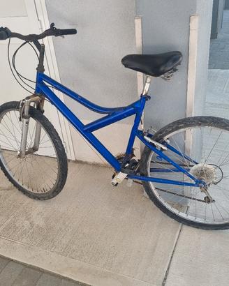 mountain bike 26 usata