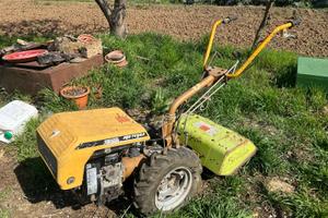 Motocoltivatore grillo