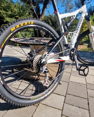 cannondale rize 