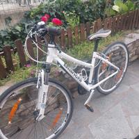 bianchi camaleonte cross bici 