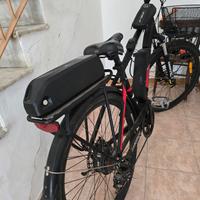 Alpha argento ebike