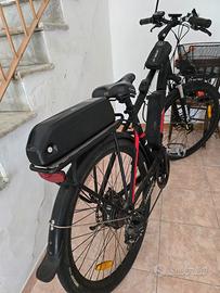 Alpha argento ebike