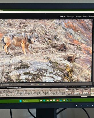 Monitor Eizo CS2400S