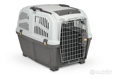 Traspirtino per cane