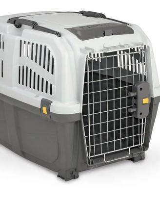 Traspirtino per cane