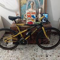 Mountain bike bianchi ragno