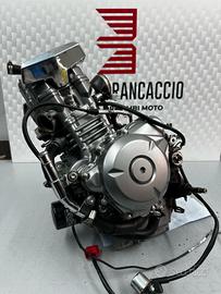 Blocco motore Suzuki Inazuma 250