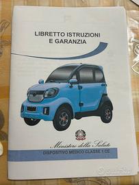 Auto elettrica
