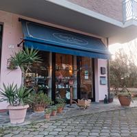 Centro Estetico in Forcoli di Palaia (PI)